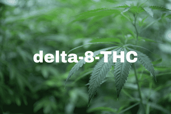What Is Delta-8? Guide to Legal & Psychoactive Differences