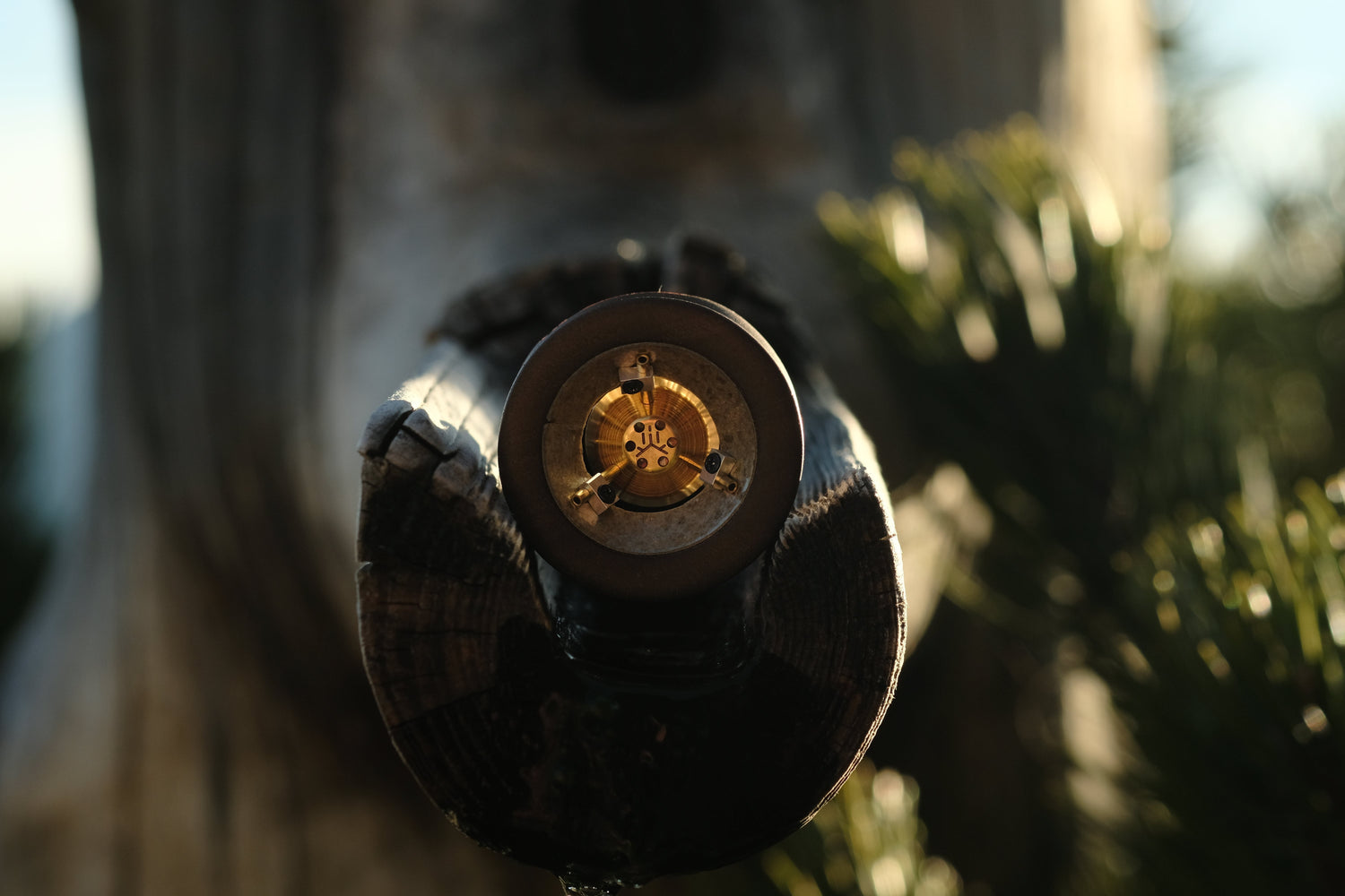 How to Choose the Right Vaporizer: A Comprehensive Buyer’s Guide