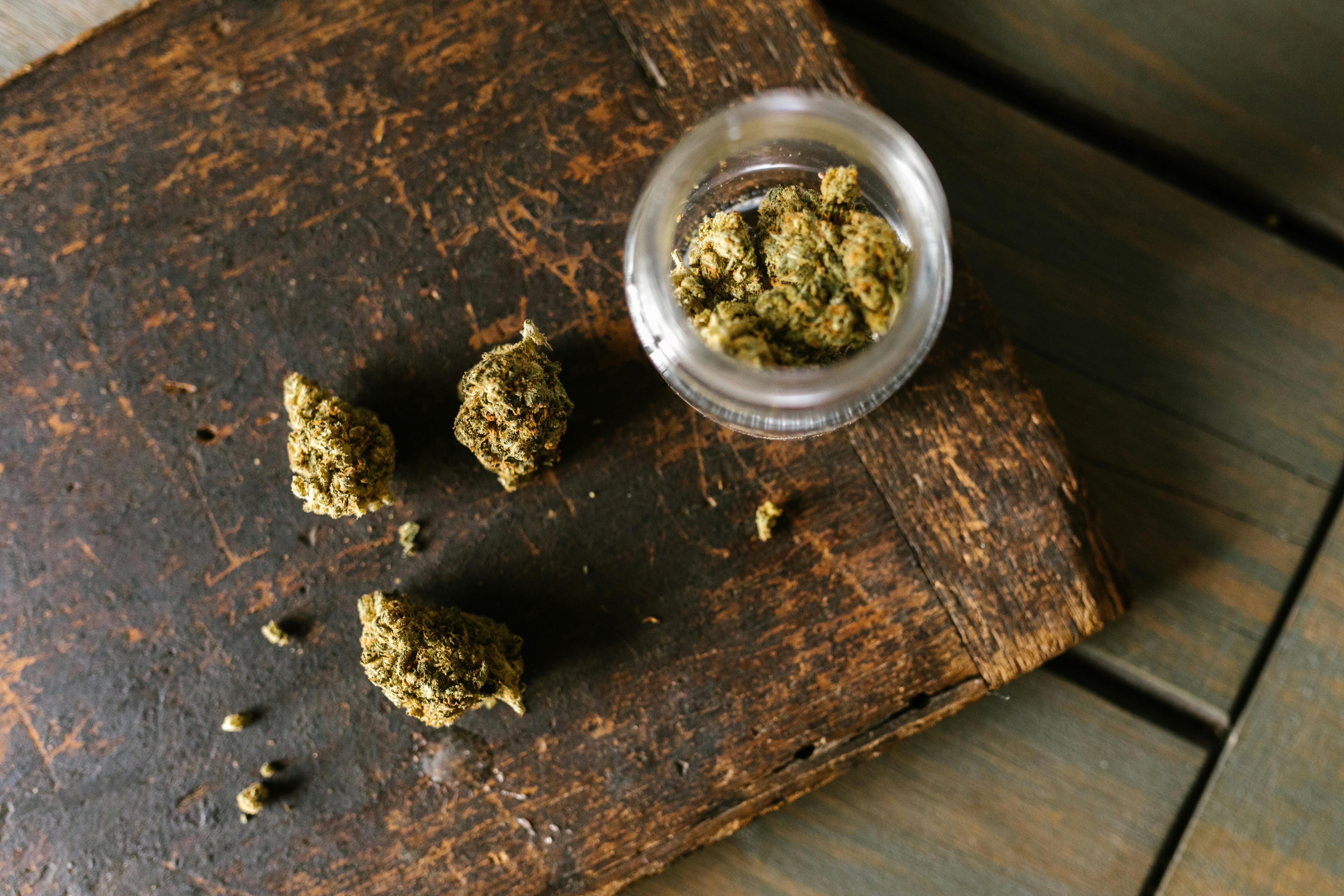 How to Tell If Weed Has Gone Bad: Signs of Moldy, Stale, or Degraded Cannabis