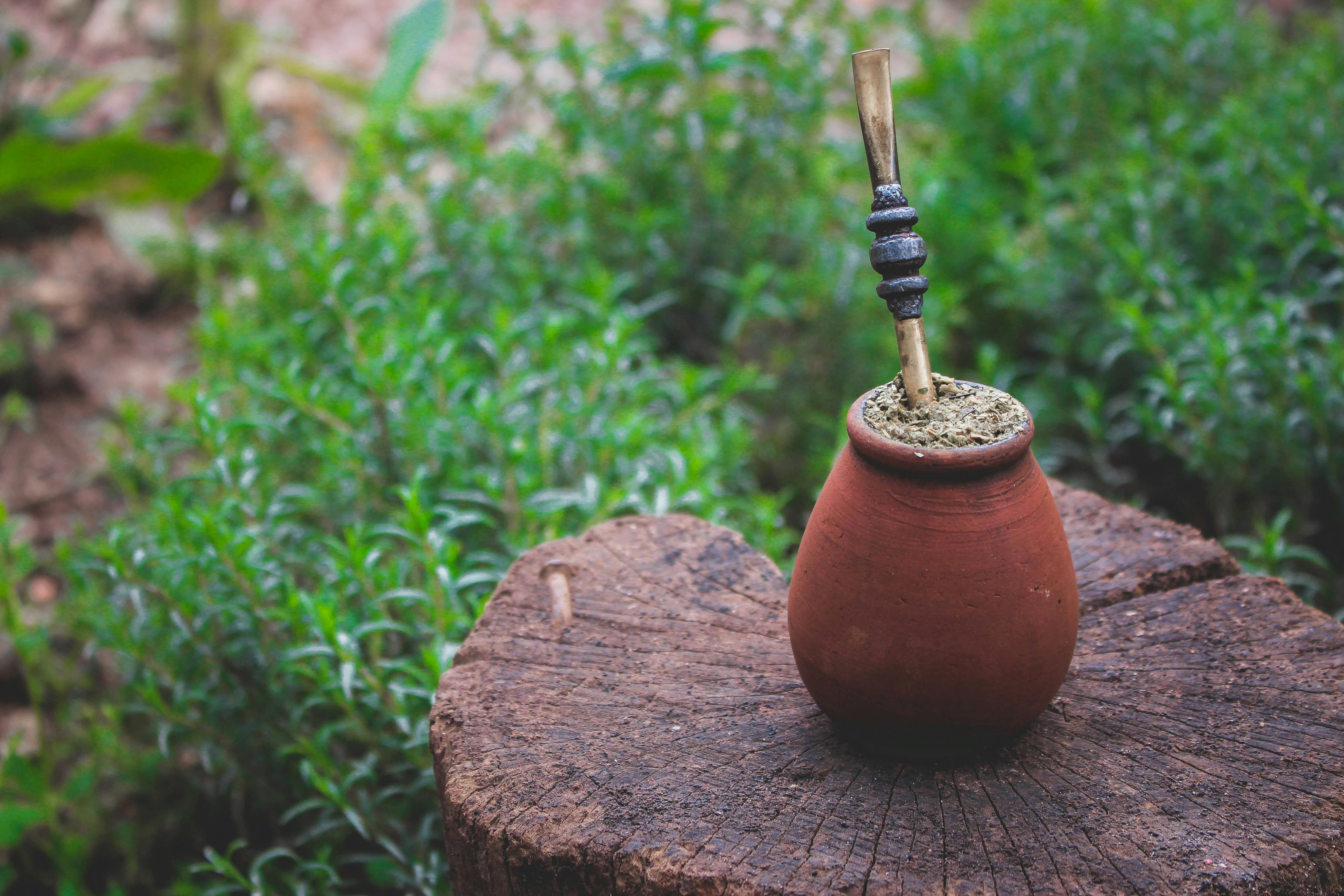 Vaporizing Yerba Mate – Clean Energy, Focus, and Safe Use Guide