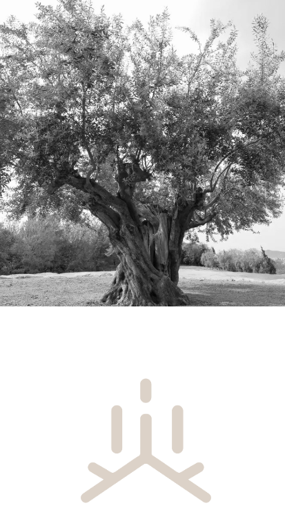 Inhale Logo Animation – A dynamic visual representation of the Inhale brand, symbolizing breath, nature, and precision through its unique design inspired by airflow, roots, and organic elements.