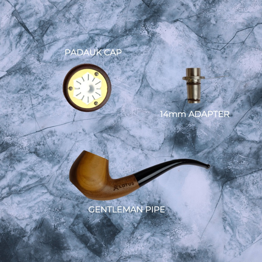 THE RED GENTLEMAN LOTUS