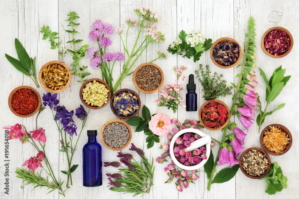 Best Herbs for Vaporizing – Herbal Vape Guide