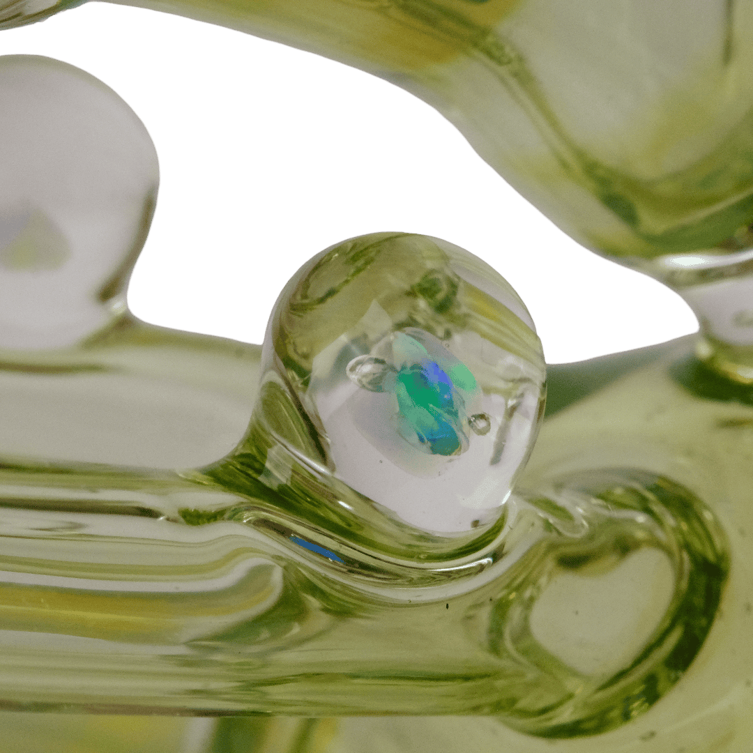 Lotus x Orian Glass – Balanced Correspondence 